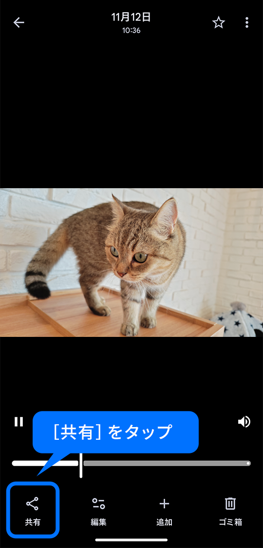 共有をタップ