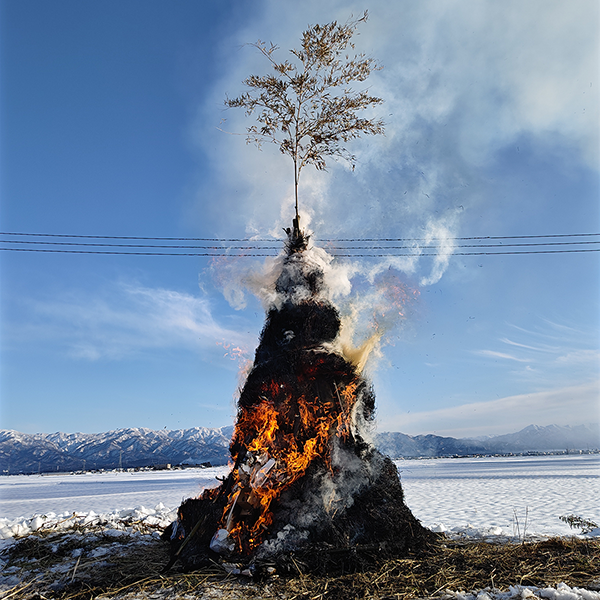 のりぴーパック さん