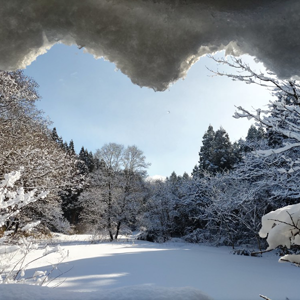 仁井田のみっちゃん さん