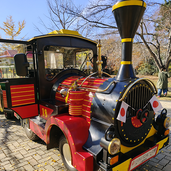 AQUOS 4SEASONS JOURNEY-晩秋- AQUOS sense10で撮影