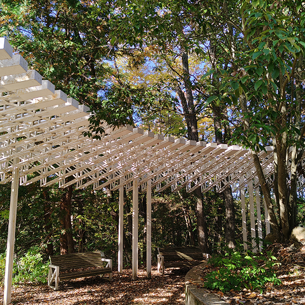 AQUOS 4SEASONS JOURNEY-晩秋- AQUOS sense10で撮影