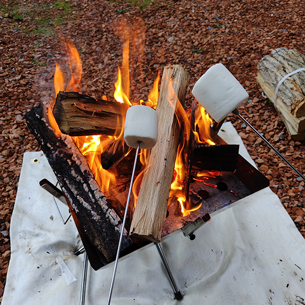 AQUOS 4SEASONS JOURNEY-初冬- AQUOS sense10で撮影