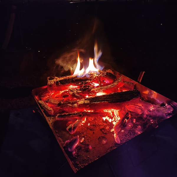 AQUOS 4SEASONS JOURNEY-初冬- AQUOS sense10で撮影