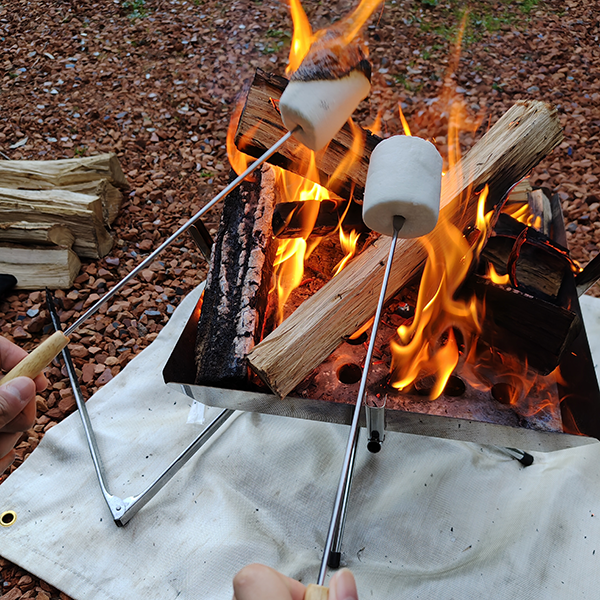 AQUOS 4SEASONS JOURNEY-初冬- AQUOS sense10で撮影