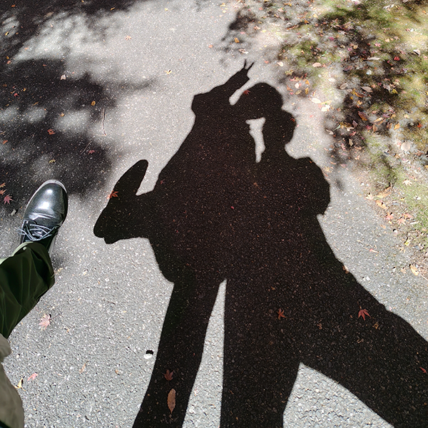 AQUOS 4SEASONS JOURNEY-晩秋- AQUOS sense10で撮影