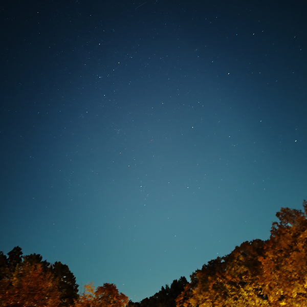 AQUOS 4SEASONS JOURNEY-初冬- AQUOS sense10で撮影