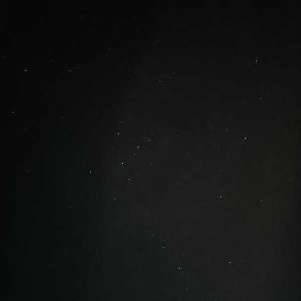 AQUOS 4SEASONS JOURNEY-初冬- AQUOS sense10で撮影