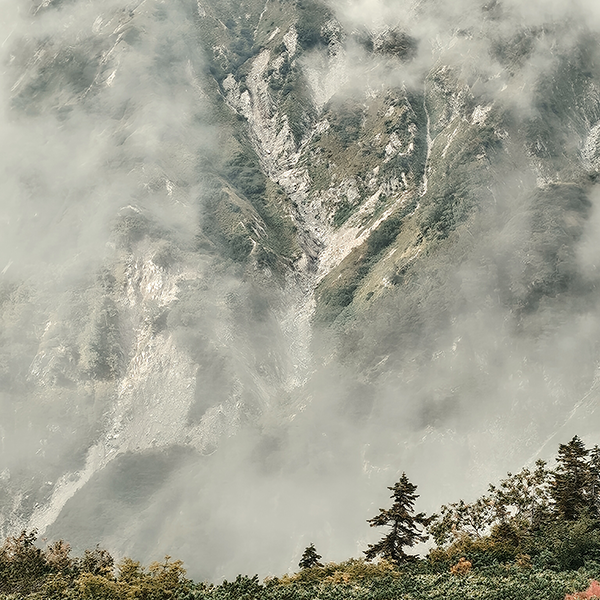 黒田智之 AQUOS sense10で撮影