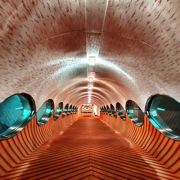 黒田智之 AQUOS sense10で撮影