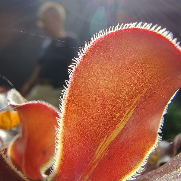 黒田智之 AQUOS sense10で撮影