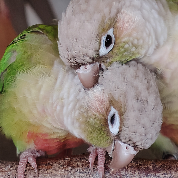 黒田智之 AQUOS sense10で撮影