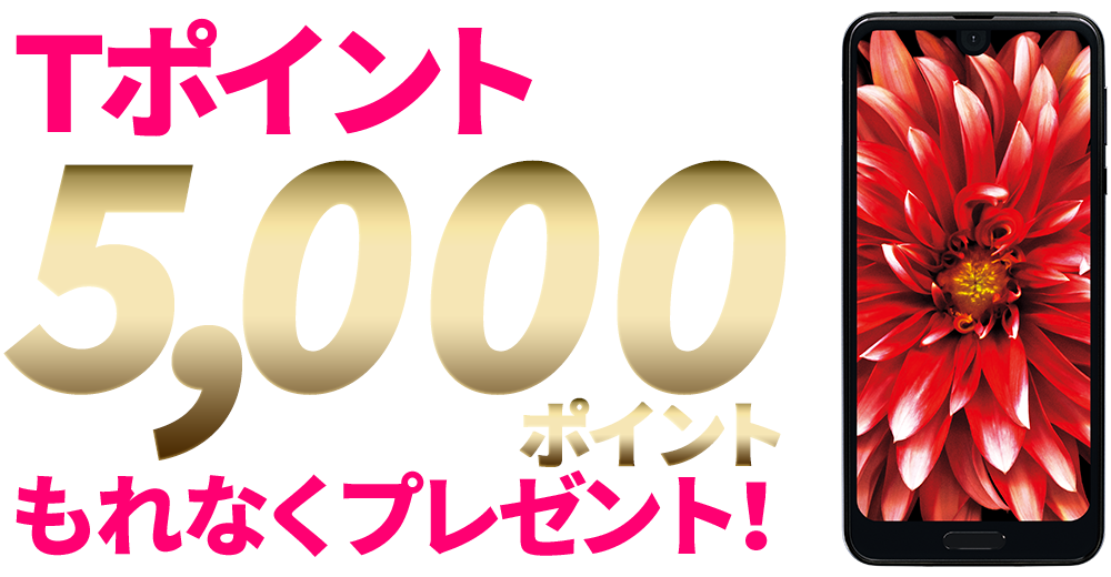 Tポイント5,000ポイントもれなくゲットしよう!