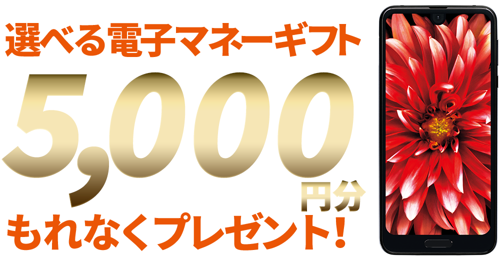 選べる電子マネーギフト5,000円分プレゼント!