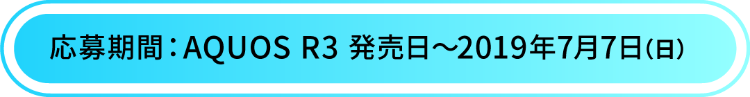 応募は終了しました
