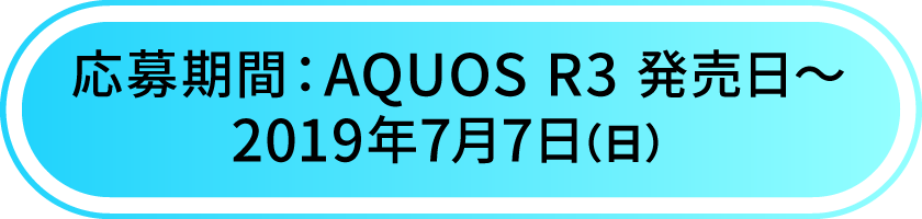 応募は終了しました