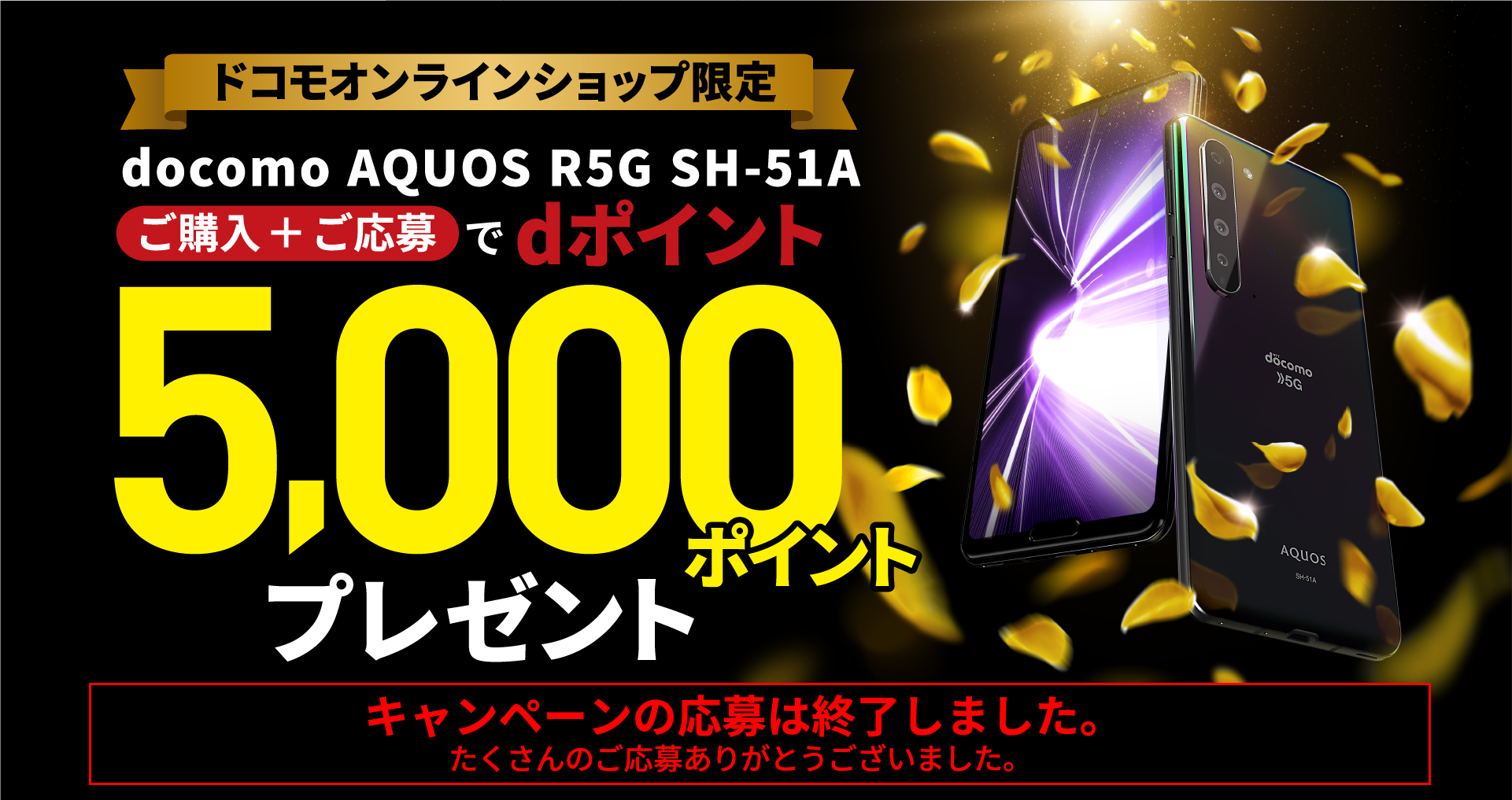 ドコモオンラインショップ限定 docomo AQUOS R5G SH-51A dポイント