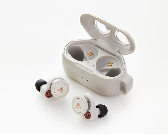 TRUE Wireless Earphone ANW02 グレイ
