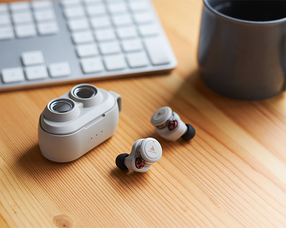 TRUE Wireless Earphone ANW02 グレイ 2