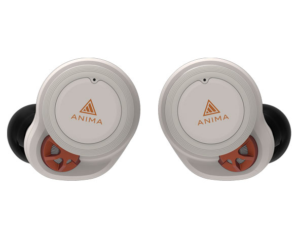 TRUE Wireless Earphone ANW02 グレイ 3
