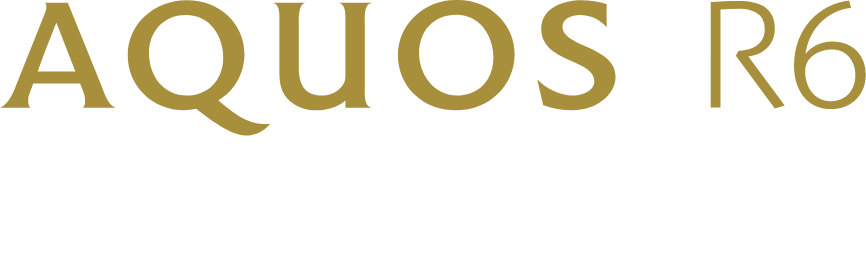 AQUOS R6 ケース特集
