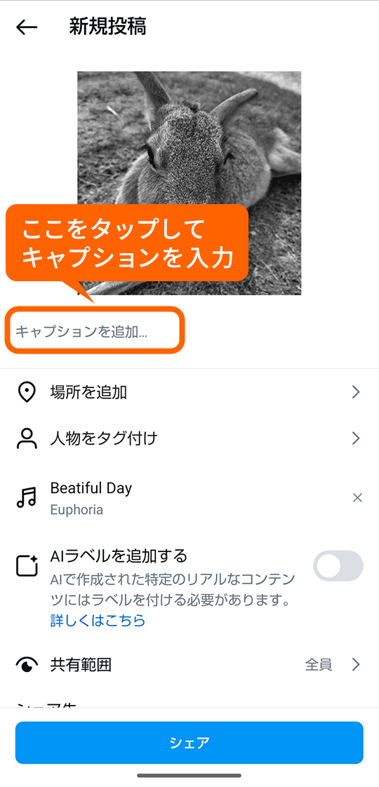 キャプションを入力