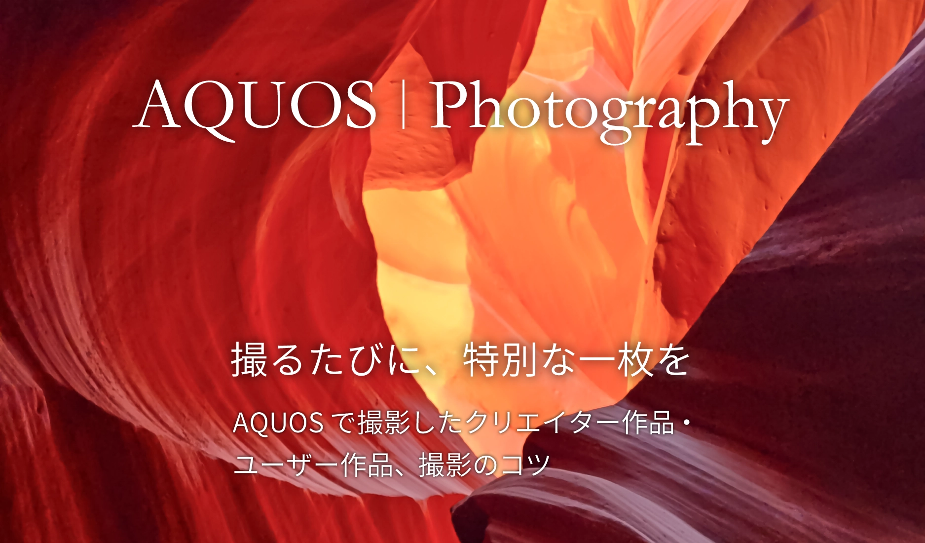 AQUOS Photography