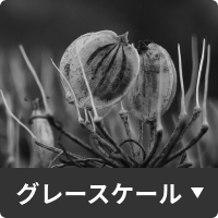 グレースケール