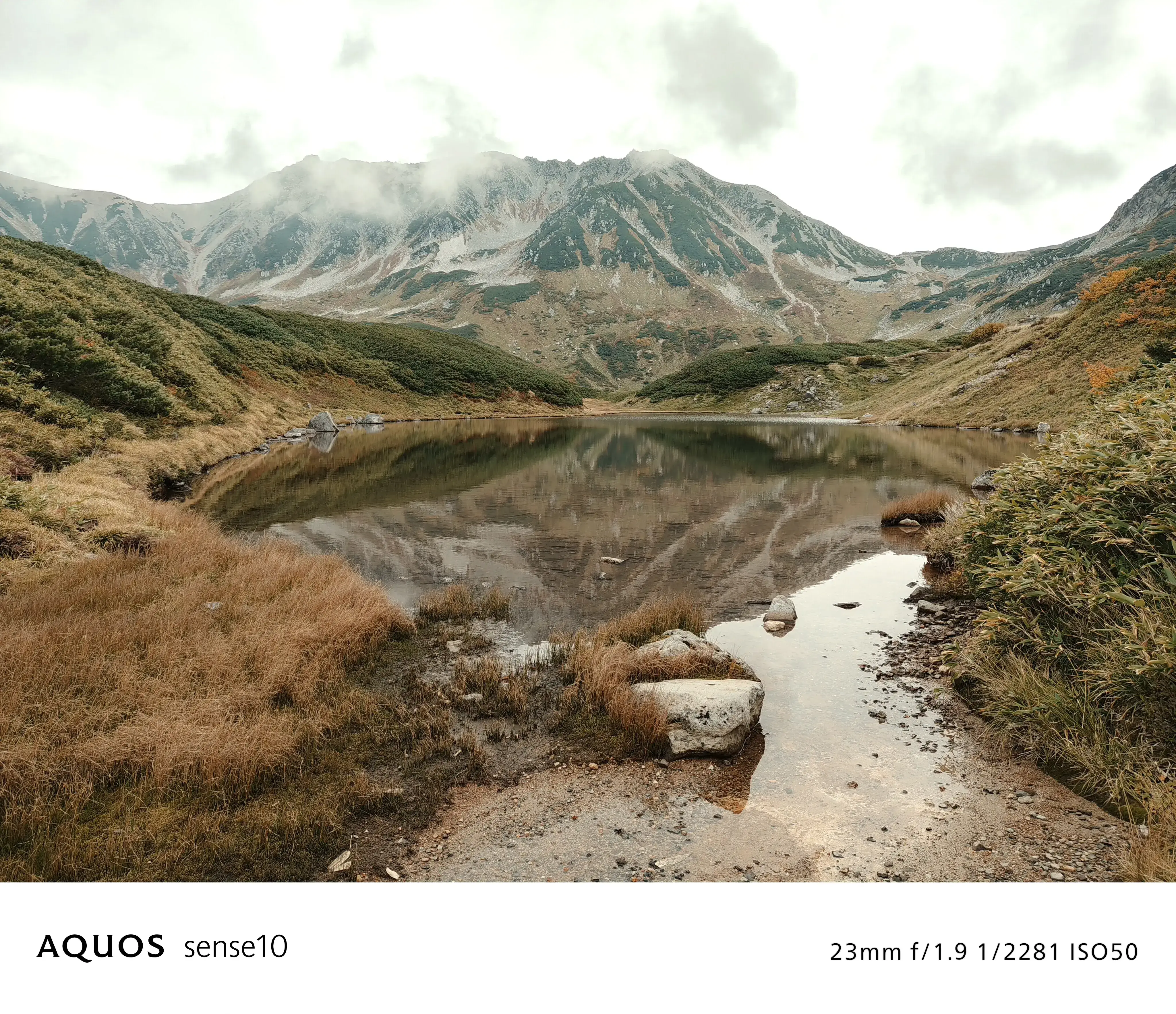 シネマフィルム フィルターON 写真