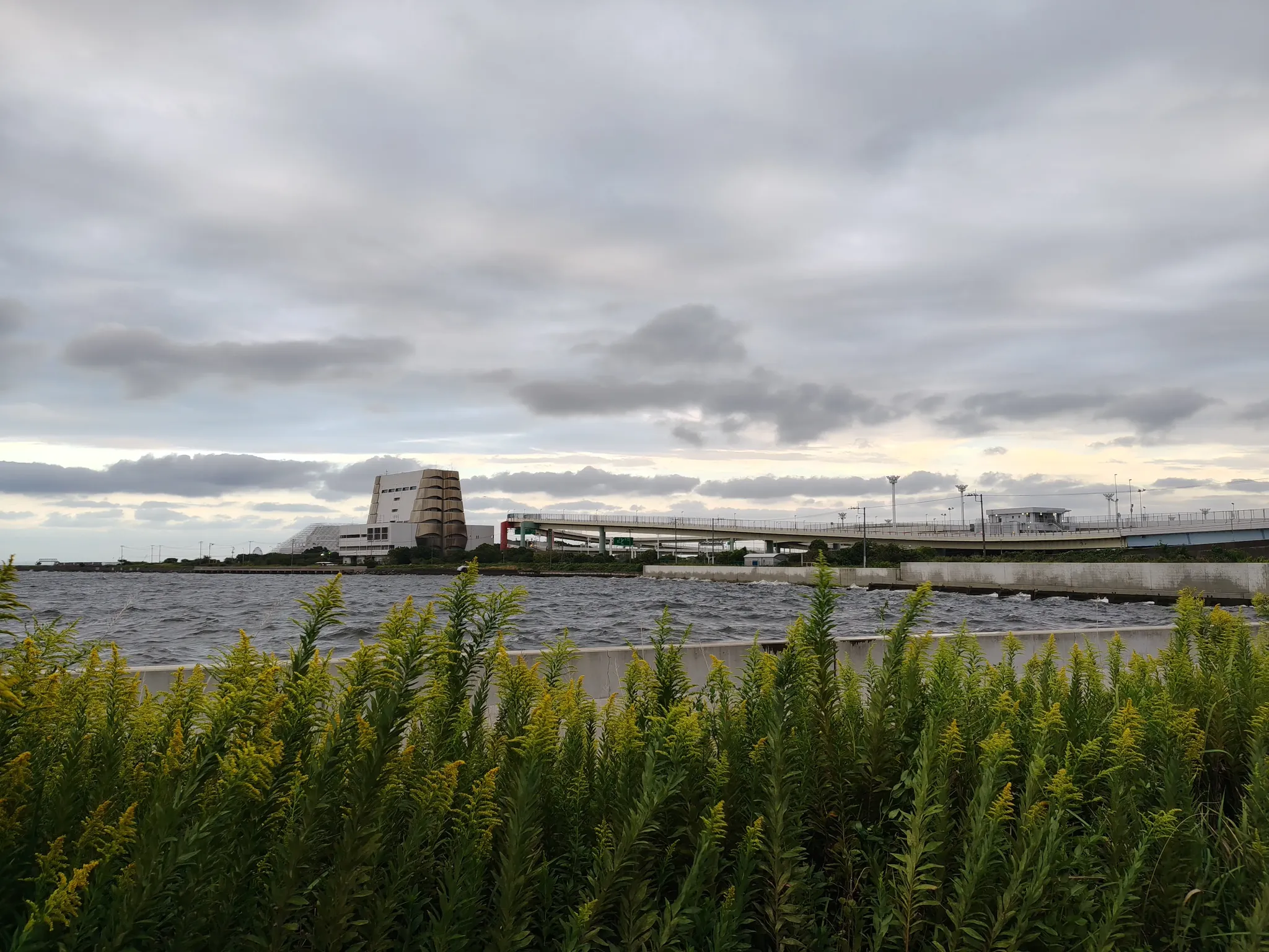 シネマフィルム オリジナル写真