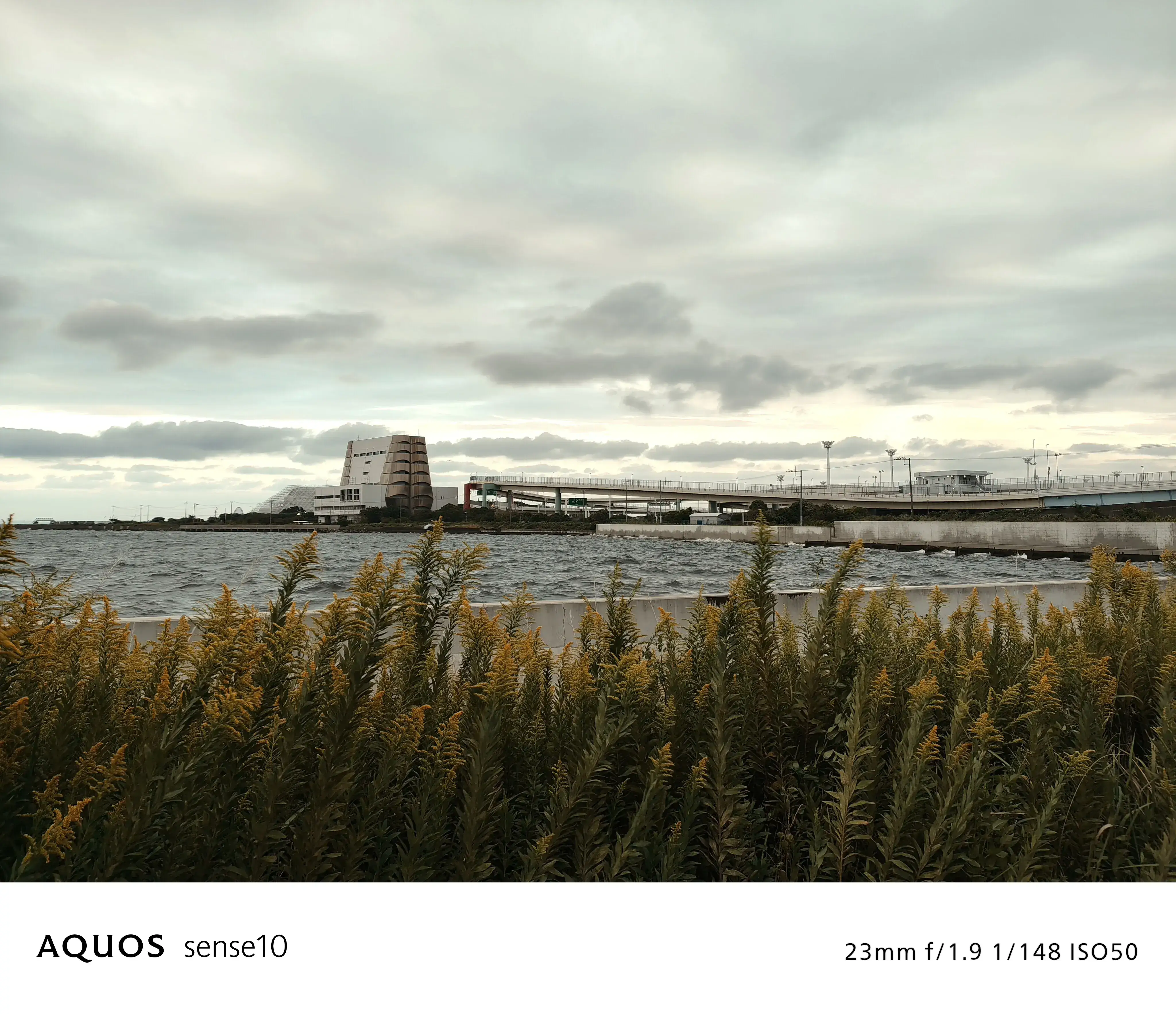 シネマフィルム オリジナル写真