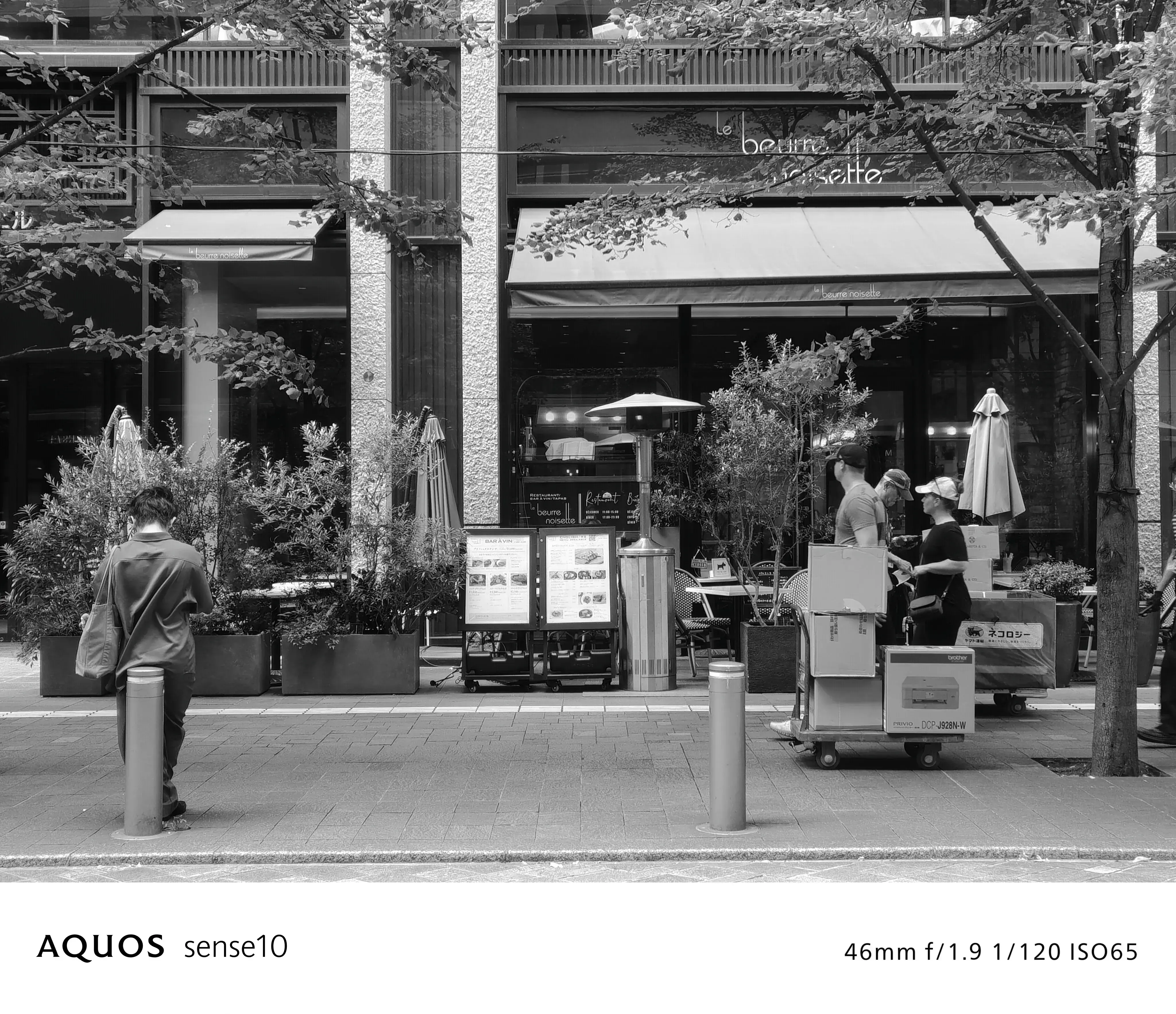 グレースケール フィルターON 写真