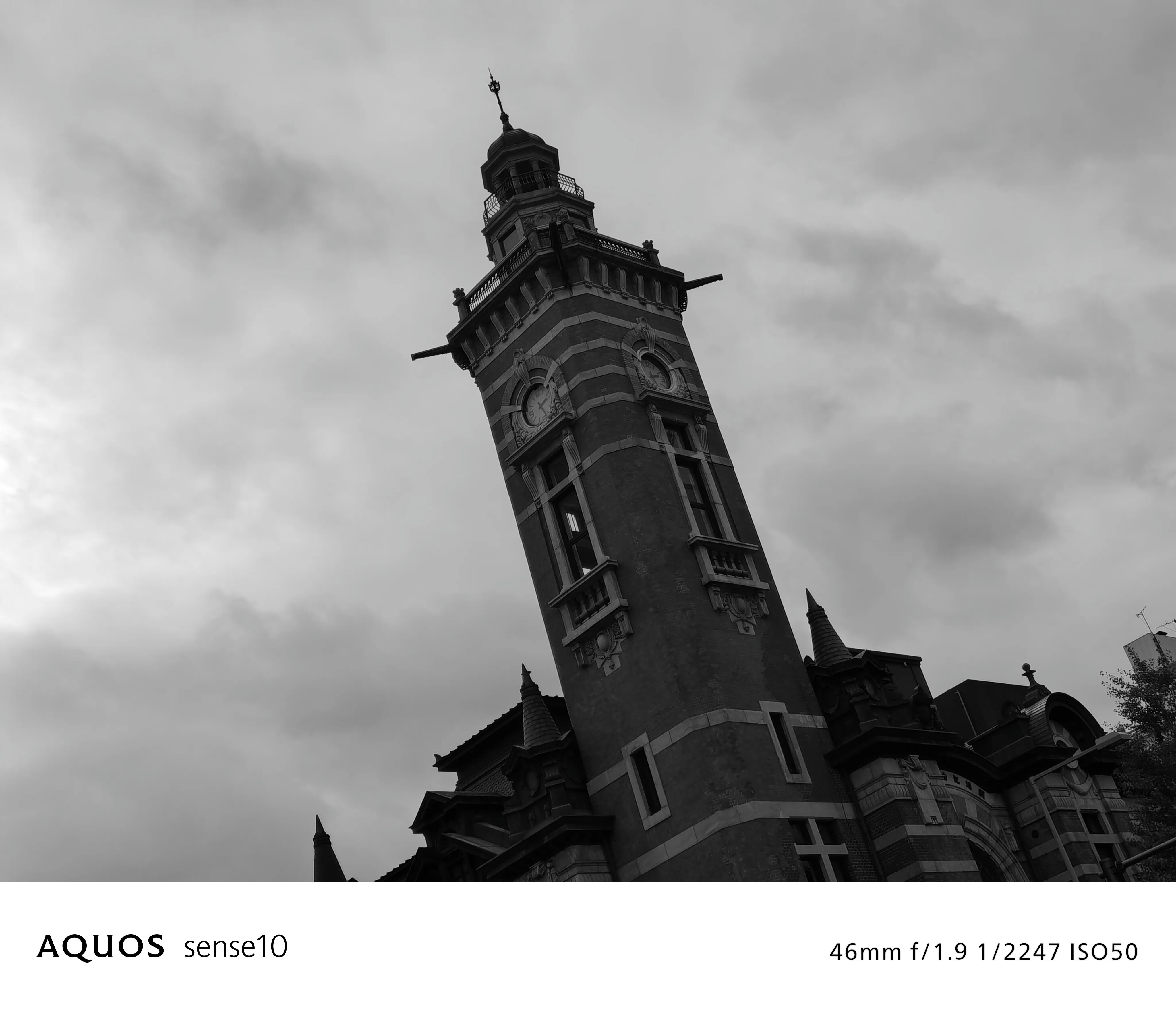 グレースケール フィルターON 写真