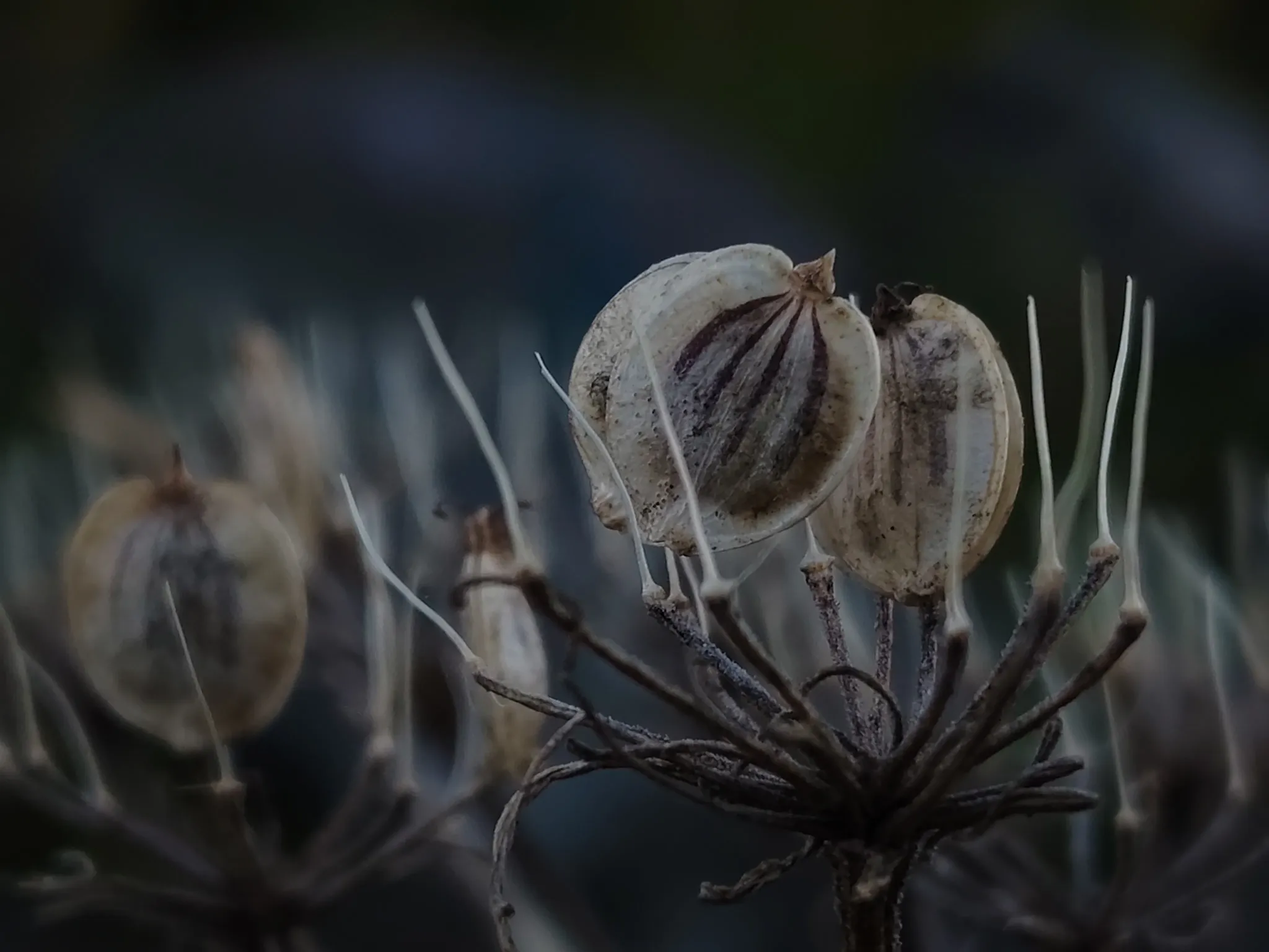 グレースケール オリジナル写真