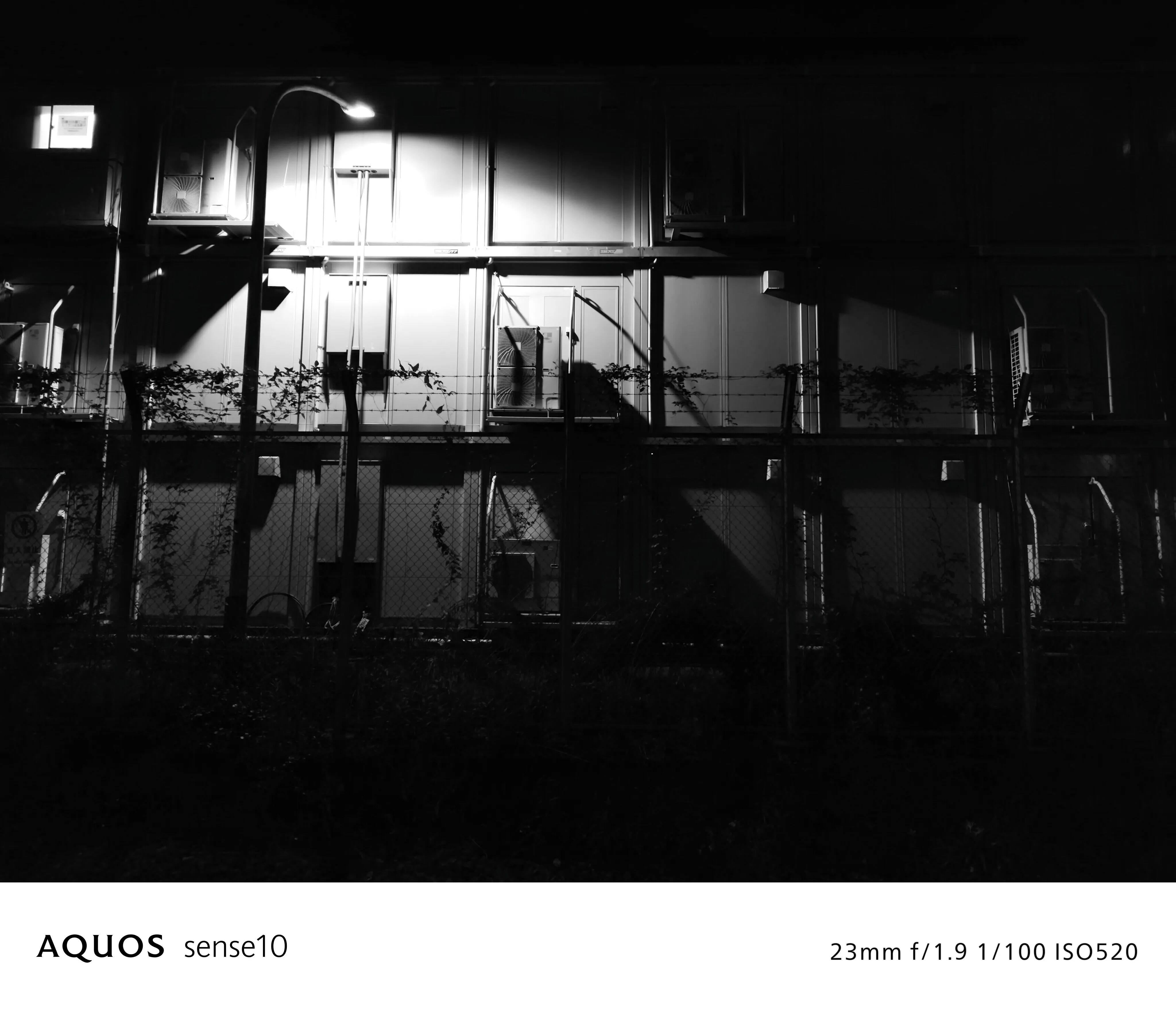 モノクローム フィルターON 写真