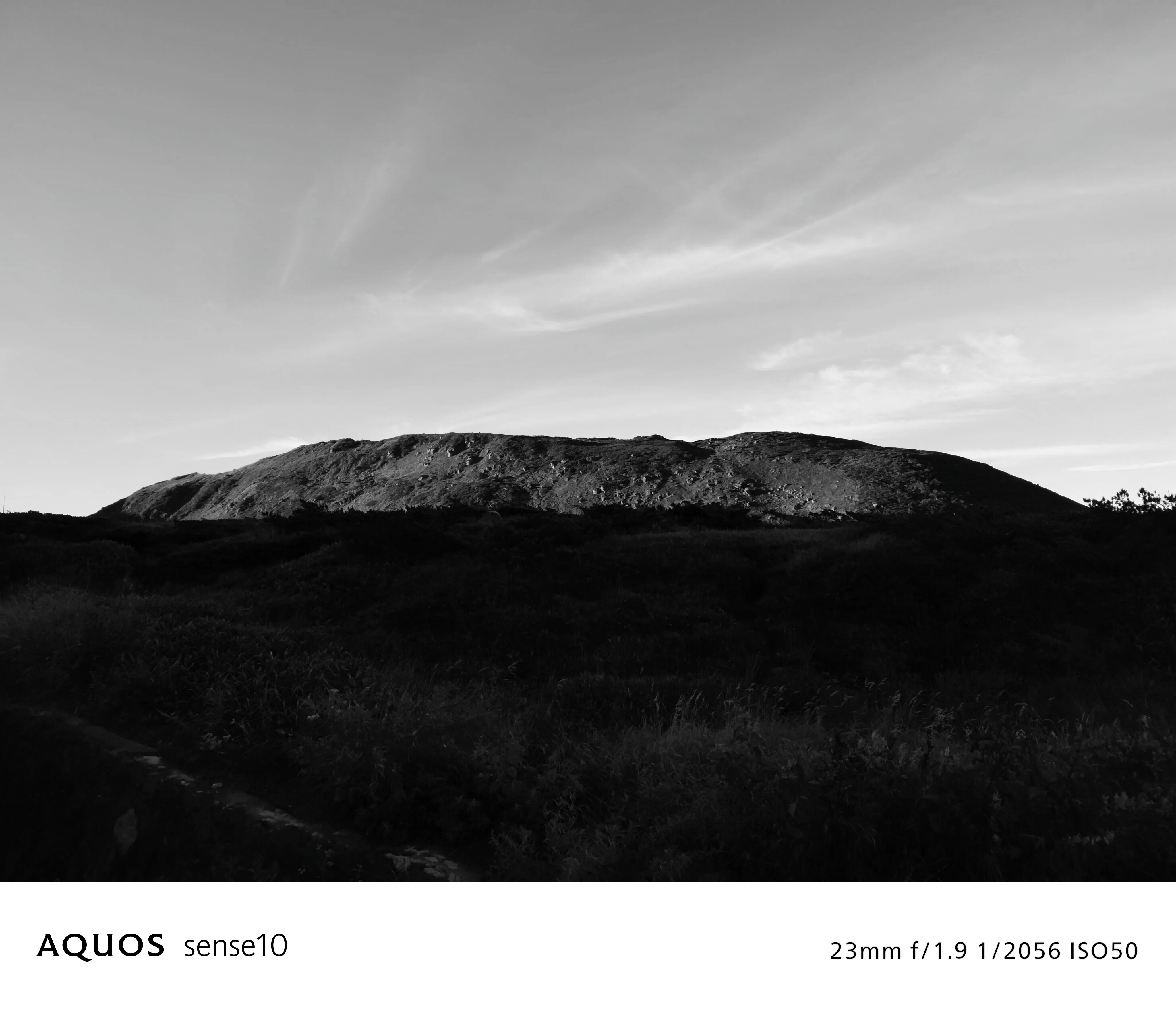 モノクローム フィルターON 写真