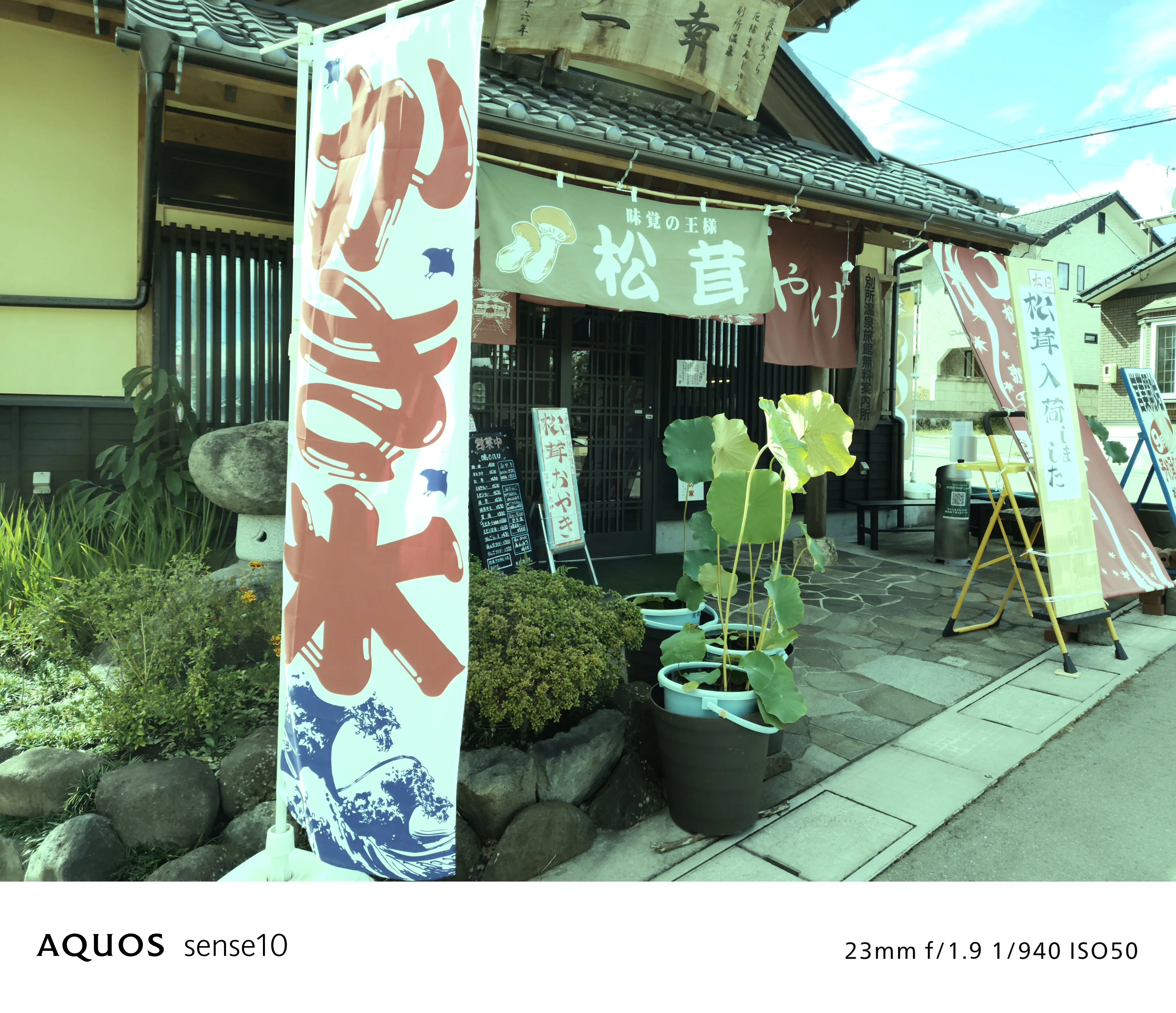 夏色 フィルターON 写真