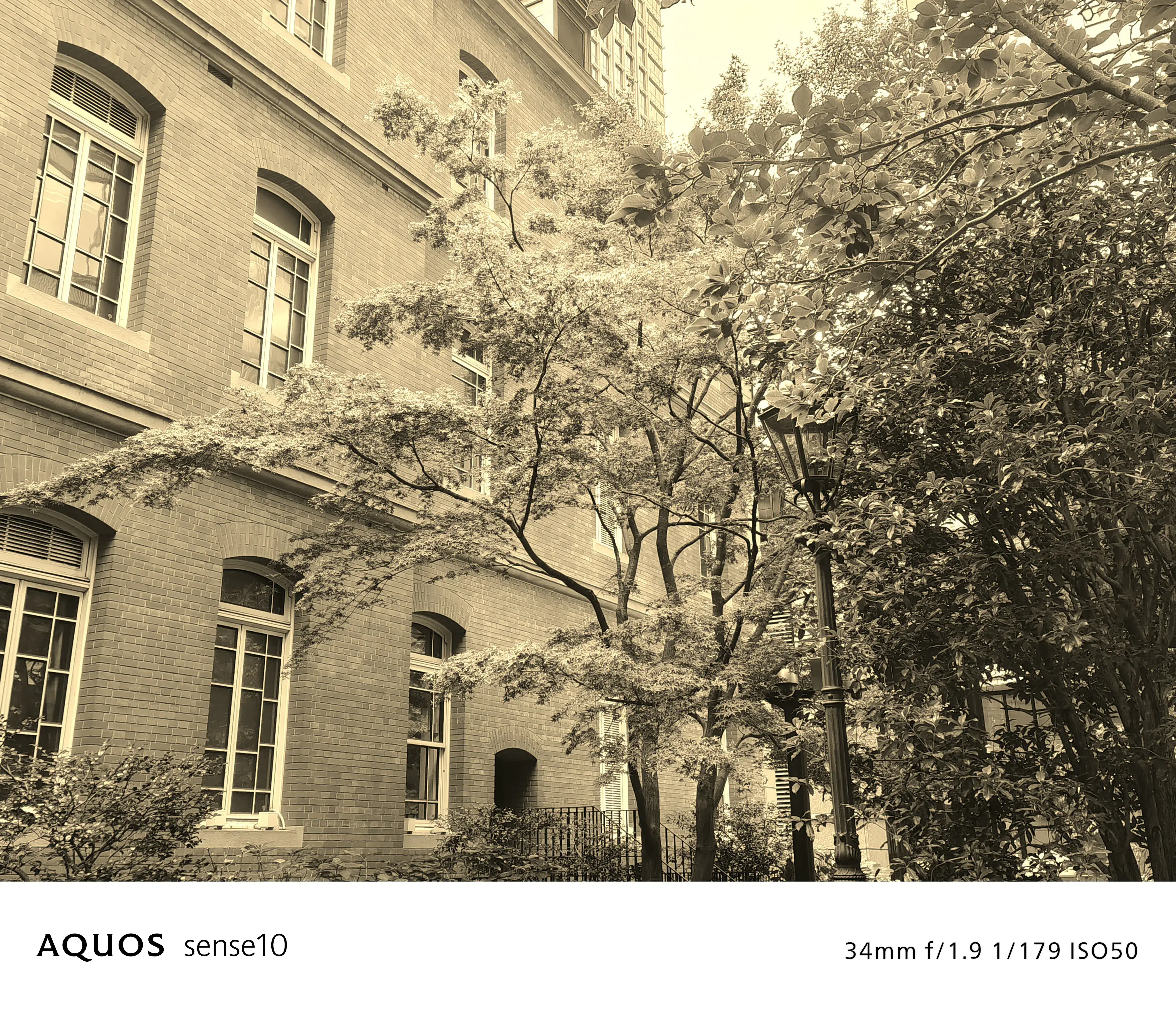 セピア フィルターON 写真