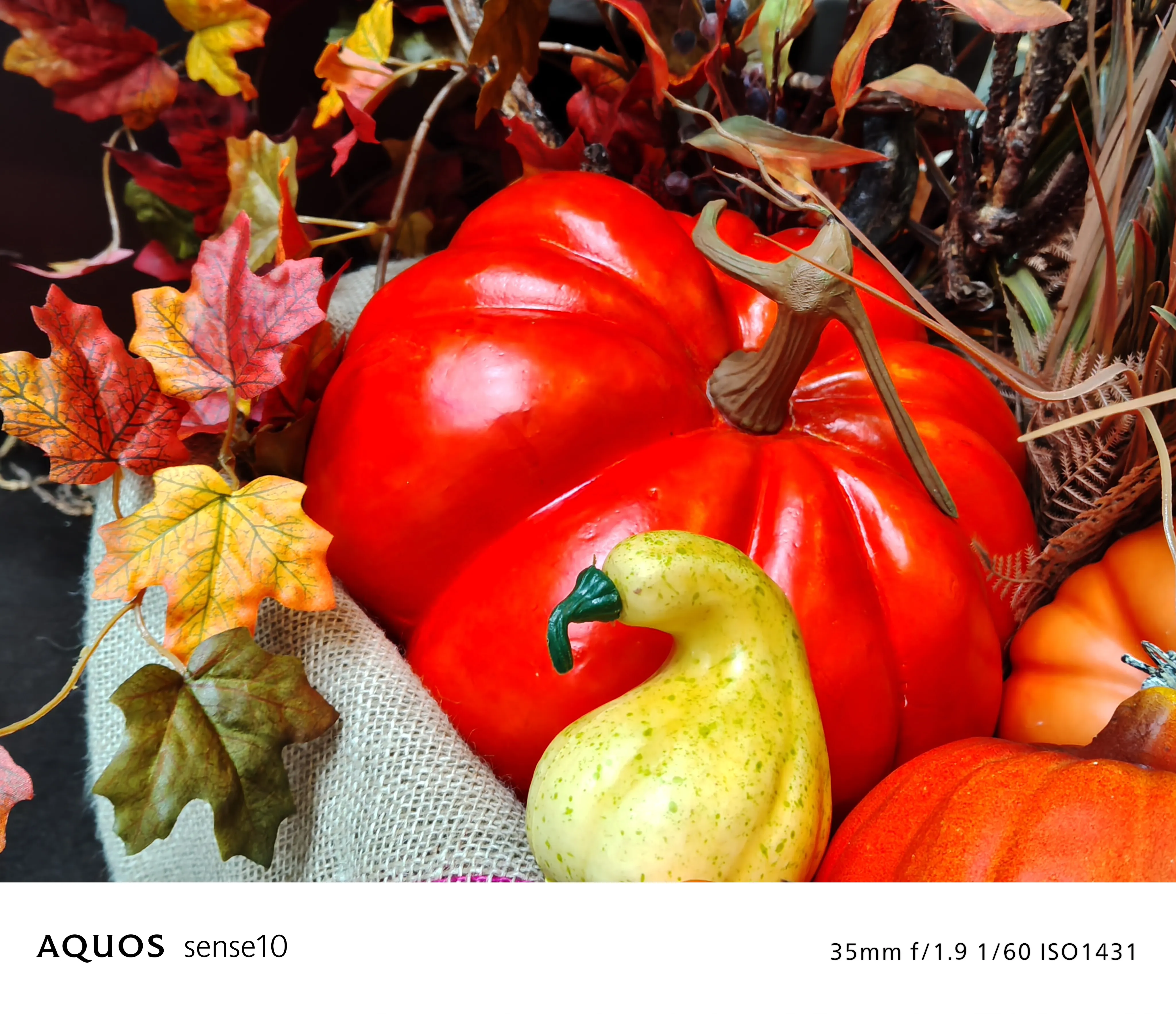 ビビッド フィルターON 写真