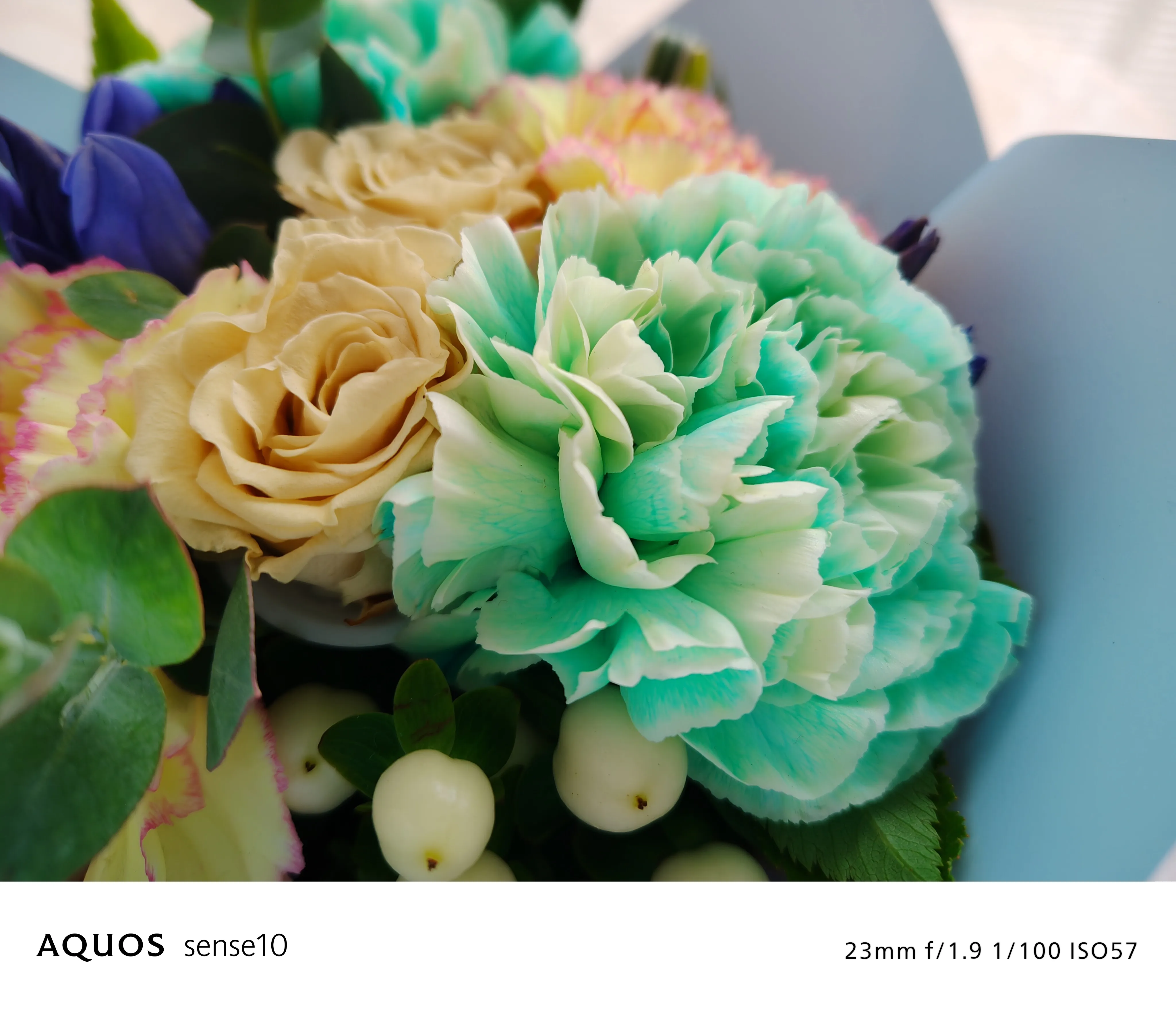 ビビッド フィルターON 写真