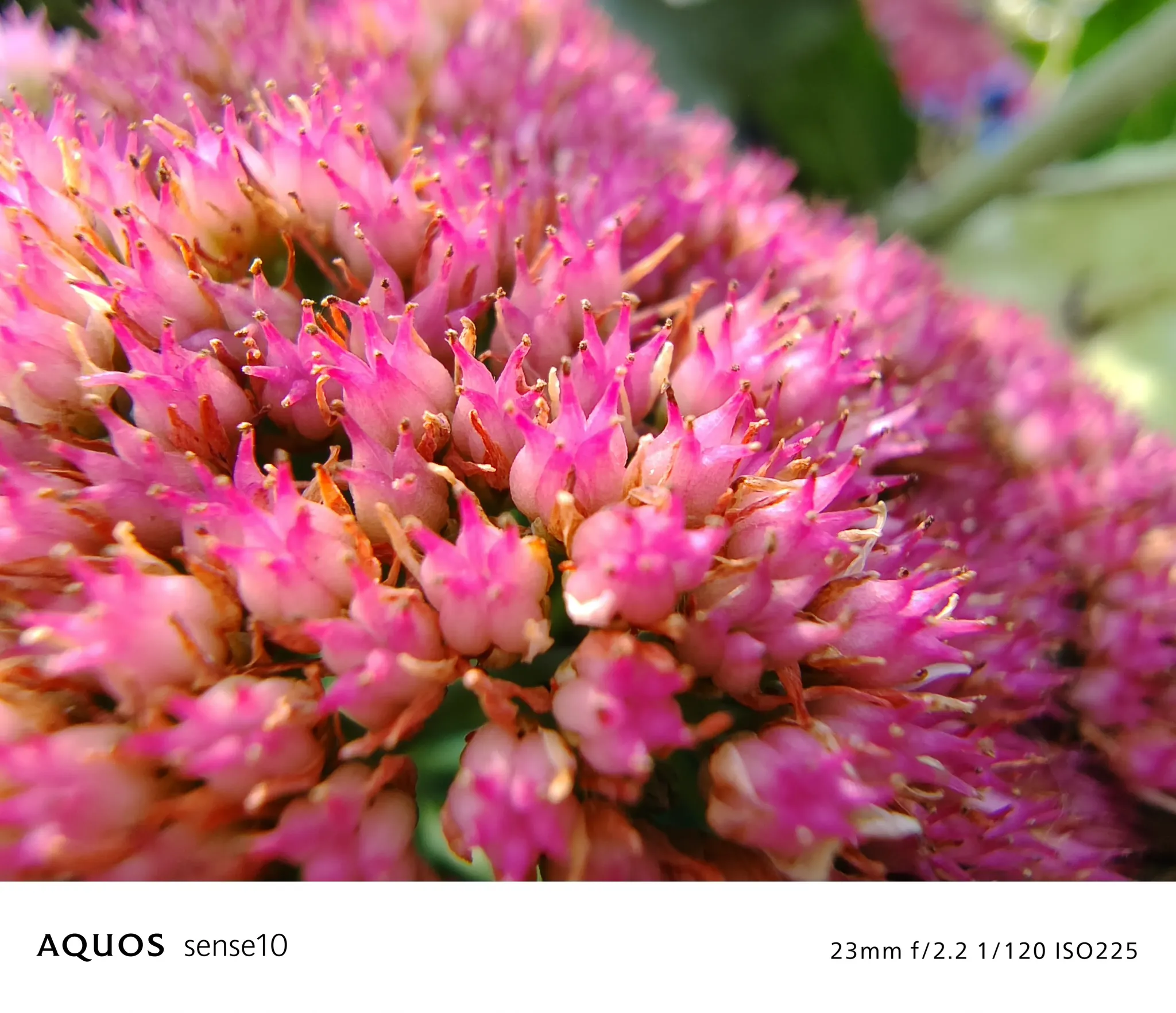 ビビッド フィルターON 写真