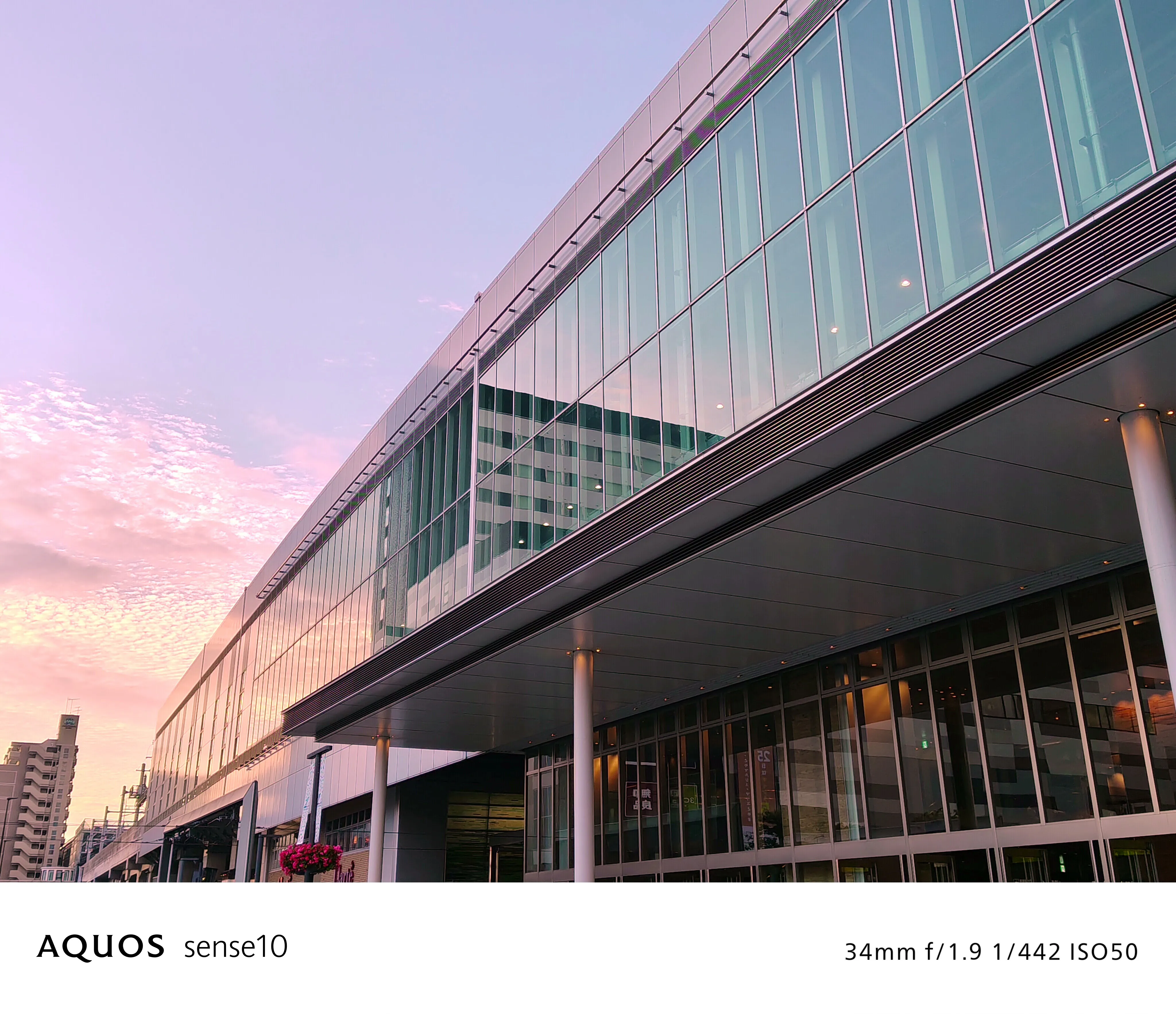 夕映え フィルターON 写真