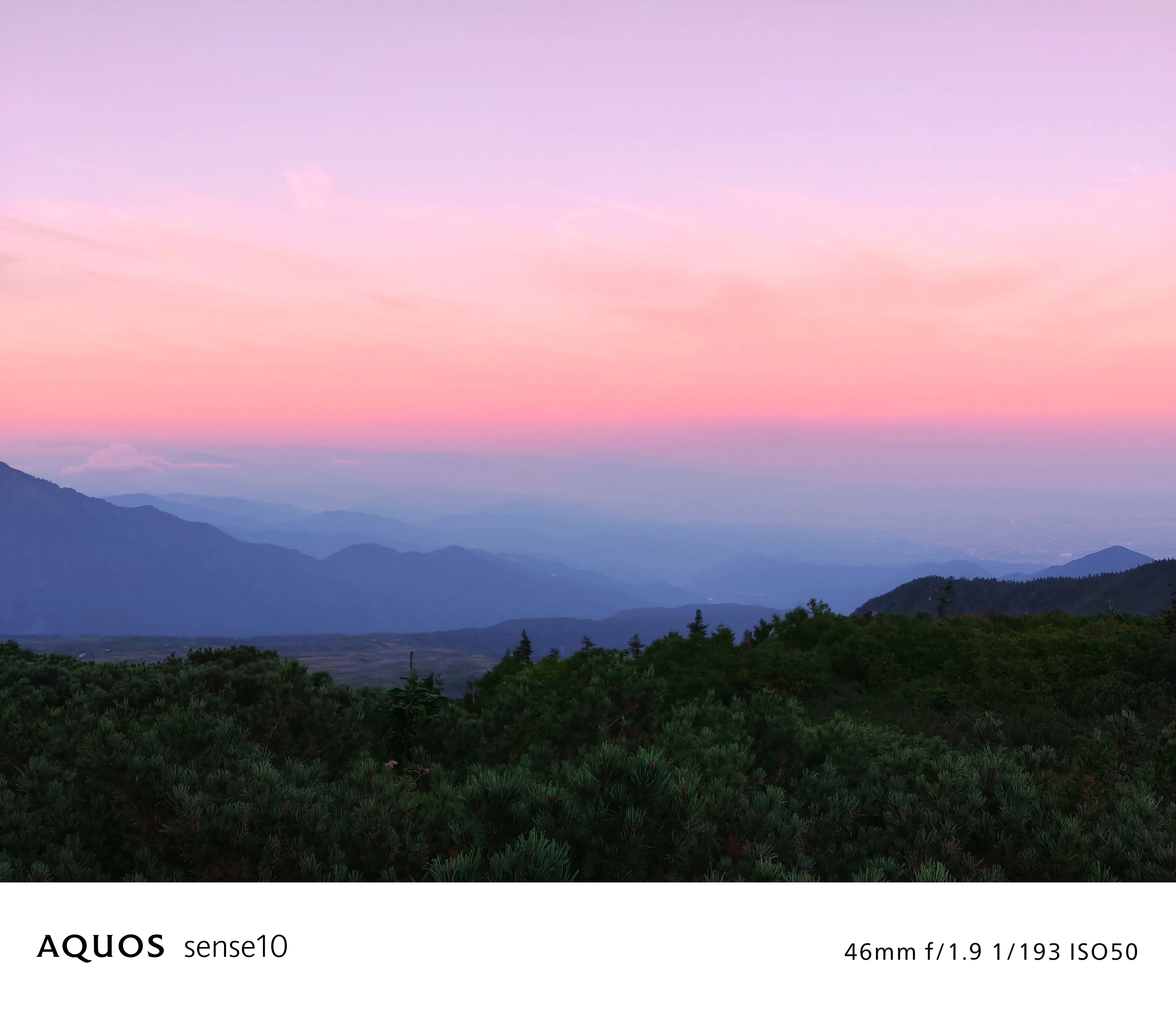 夕映え フィルターON 写真