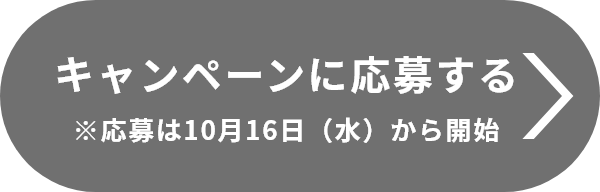 キャンペーンに応募する