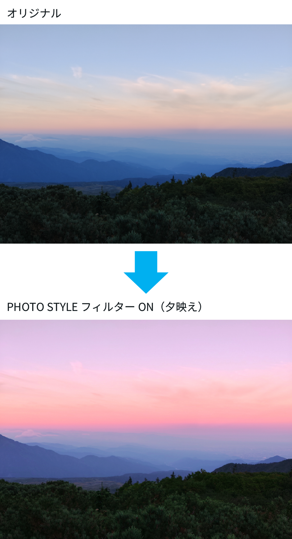 PHOTO STYLE フィルターON